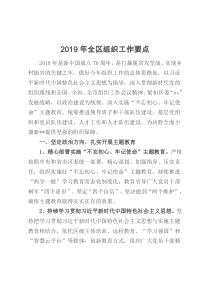 2019年全区组织工作要点