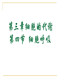 细胞呼吸   公开课