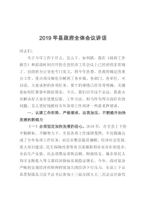 2019年县政府全体会议讲话