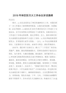 2019年林区防灭火工作会议讲话提纲