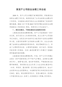 2019年资产公司综合治理总结