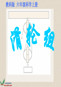 (教科版)六年级科学上册课件 滑轮组