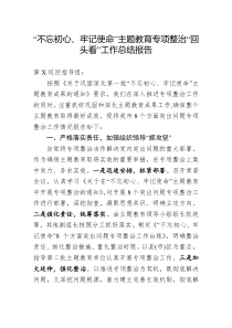 不忘初心牢记使命主题教育专项整治回头看工作总结报告