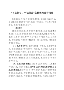 不忘初心牢记使命主题教育情况的总结报告