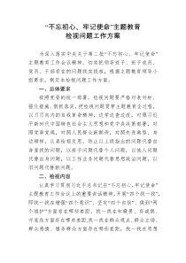 不忘初心牢记使命主题教育检视问题工作方案