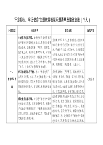 不忘初心牢记使命主题教育检视问题清单及整改台账