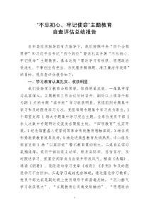 不忘初心牢记使命主题教育自查评估总结报告