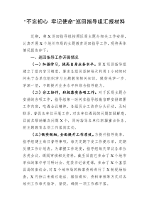 不忘初心牢记使命巡回指导组汇报材料2