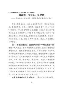 主题教育理论学习研讨发言强政治守初心担使命