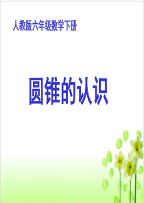 人教版小学数学六年级下册第12册《圆锥的认识》教学课件