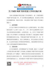 关于加强两新组织党建工作的实施方案