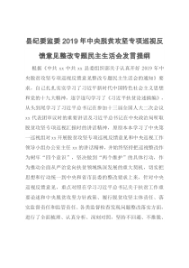 县纪委监委2019年中央脱贫攻坚专项巡视反馈意见整改专题民主生活会发言提纲