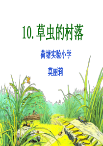 10《草虫的村落》ppt课件