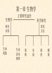 苏科版生物七年级上册 第三章第1节 多种多样的生态系统PPT