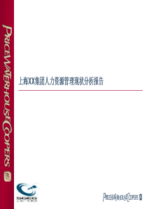 上海某集团公司人力资源分析现状