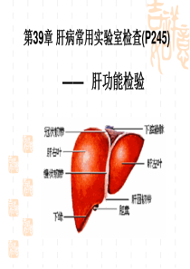 第39章 肝病常用实验室检查