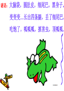 《小蝌蚪找妈妈》教学PPT