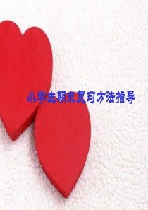 小学生期末复习方法指导