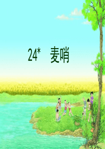 24[1].麦哨(完美版)