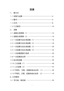 初中数学分类专题复习资料