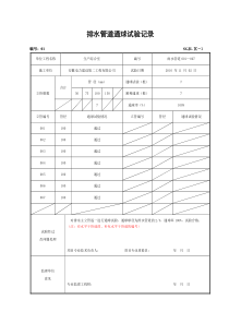 Ⅸ-1-雨水排水管道通球试验记录