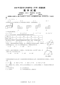 【龙岩二检】2020年龙岩市初中数学质检试题及答案