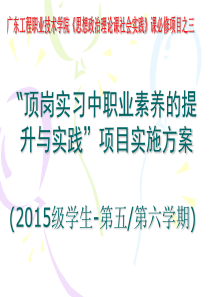 2015级顶岗实习中职业素养的提升与实践活动方案201706