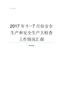 2017年17月份安全生产和安全生产大检查工作情况汇报2019年7月