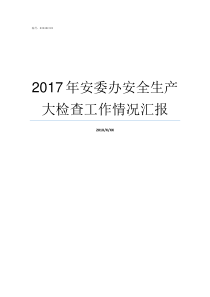 2017年安委办安全生产大检查工作情况汇报安委办201729号