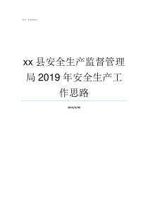 xx县安全生产监督管理局2019年安全生产工作思路安全质量监督管理局