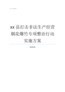 xx县打击非法生产经营烟花爆竹专项整治行动实施方案