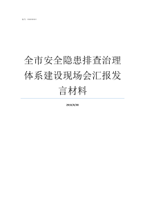 全市安全隐患排查治理体系建设现场会汇报发言材料现场隐患排查与治理