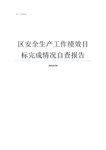 区安全生产工作绩效目标完成情况自查报告安全生产绩效考核