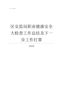 区安监局职业健康安全大检查工作总结及下一步工作打算安监局职业卫生