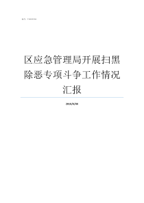 区应急管理局开展扫黑除恶专项斗争工作情况汇报小应急管理局扫黑除恶