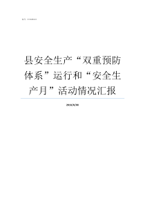 县安全生产双重预防体系运行和安全生产月活动情况汇报安全生产双重预防概念