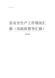 县安全生产工作情况汇报市政府督导汇报县落实安全生产责任情况