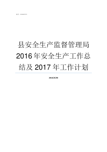 县安全生产监督管理局2016年安全生产工作总结及2017年工作计划