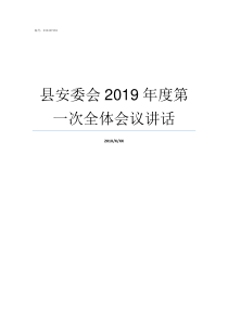 县安委会2019年度第一次全体会议讲话豫安委2019