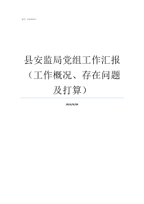 县安监局党组工作汇报工作概况存在问题及打算近三年党组工作汇报