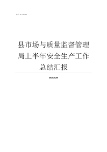 县市场与质量监督管理局上半年安全生产工作总结汇报市场监督