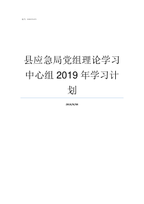 县应急局党组理论学习中心组2019年学习计划