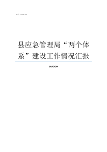 县应急管理局两个体系建设工作情况汇报县应急局是干嘛的