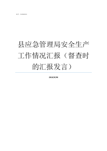 县应急管理局安全生产工作情况汇报督查时的汇报发言安全生产管理局官网