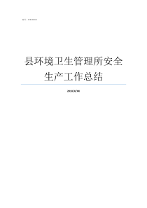 县环境卫生管理所安全生产工作总结环境卫生管理所怎么样