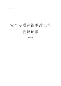 安全专项巡视整改工作会议记录专项巡视整改回头看