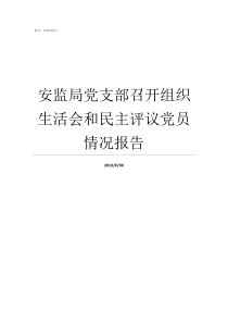 安监局党支部召开组织生活会和民主评议党员情况报告