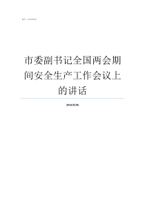 市委副书记全国两会期间安全生产工作会议上的讲话市委副书记大还是常务副市长大