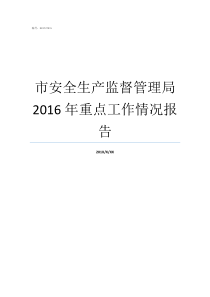 市安全生产监督管理局2016年重点工作情况报告