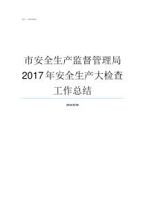 市安全生产监督管理局2017年安全生产大检查工作总结安全生产监督局官网